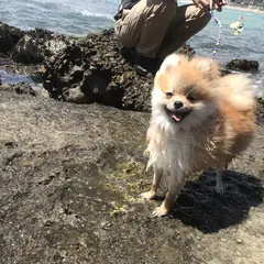 守谷海水浴場