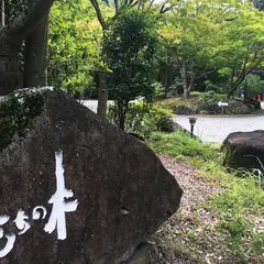 渓谷別庭 もちの木