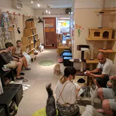 ねこ・JaLaLa
