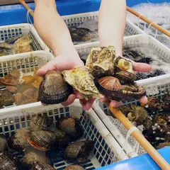 セリ壱