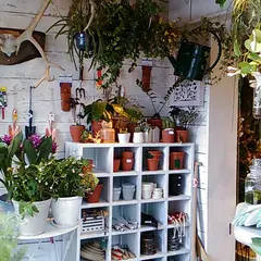 BIOTOP NURSERIES