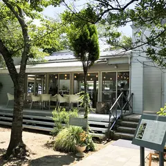 Sghr cafe