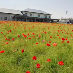 久里浜駅