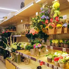ニトリ 京都西院店