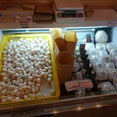 マッシュルームスタンド舟形