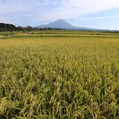 植田正治写真美術館