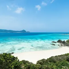 奄美大島