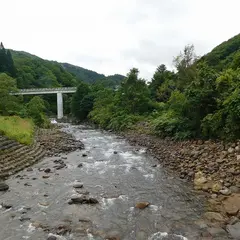タヌキの湯