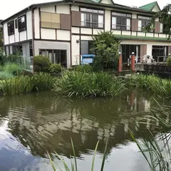 菖蒲池