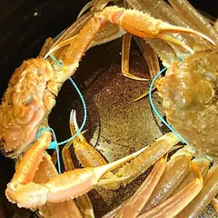 日々魚数寄 東木