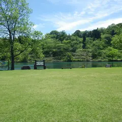 高浪の池