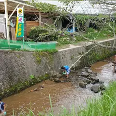 岡崎駒立ぶどう狩り組合