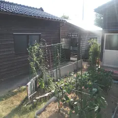 お台場の水