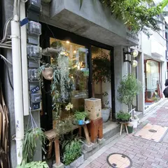 mokuhon植物