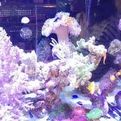 アクアタイムズエアー