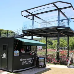 光の天空カフェ