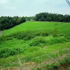 鳴沢湖