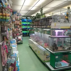 ZOO新大久保