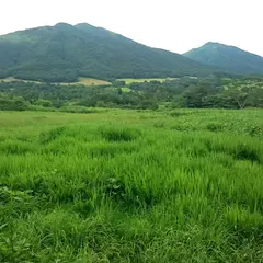 蒜山高原