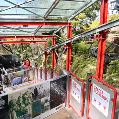 Scenic World