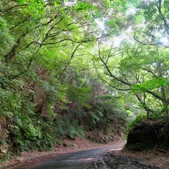 西部林道