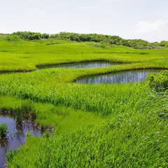 弥陀ヶ原
