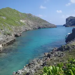 南島