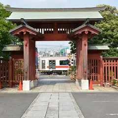 妙蓮寺