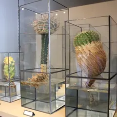 ポワンヌフ