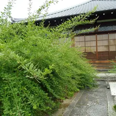 常林寺