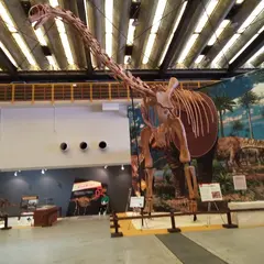 西日本総合展示場
