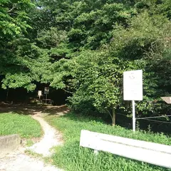 油山展望台