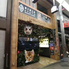京都ひょう猫の森