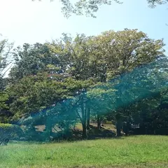 西新宿
