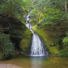 新城市