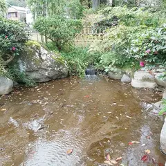 赤蛙公園