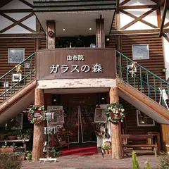 ガラスの森