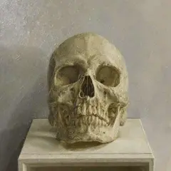 ヴァニラ画廊