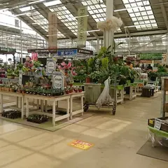 株式会社ジョイフル本田 千葉ニュータウン店