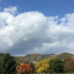 真駒内セキスイハイムアイスアリーナ
