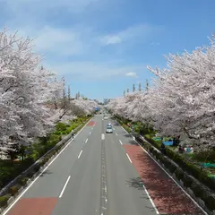 国立市