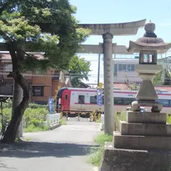 有松