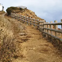 蒲生田岬