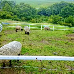 日光霧降高原 大笹牧場
