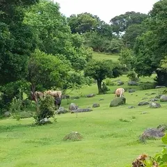 唐人駄馬巨石群
