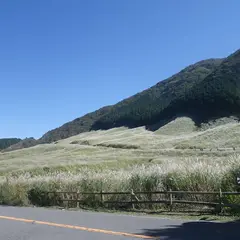 仙石原