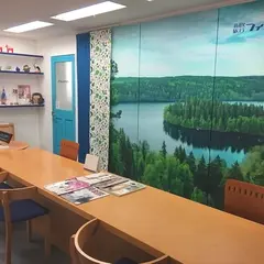 北欧旅行フィンツアー