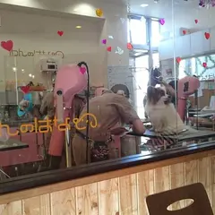 スローコーヒー八柱店