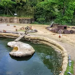 とくしま動物園