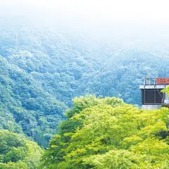 山薬